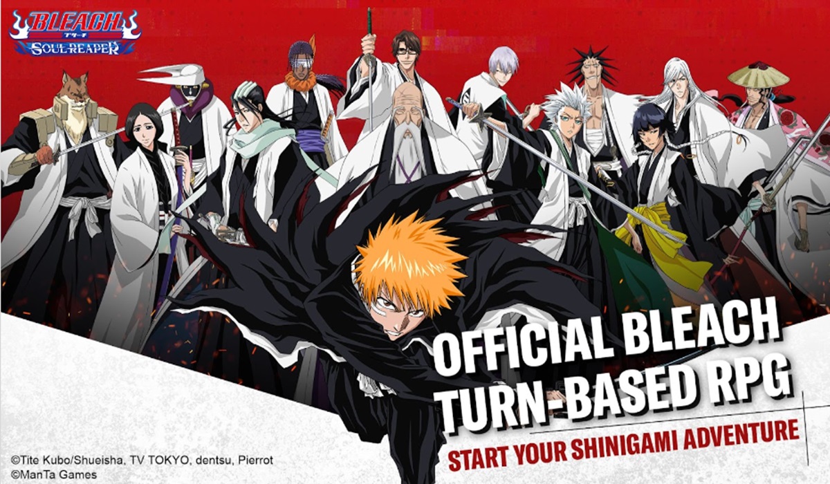 Gim Bleach: Soul Reaper