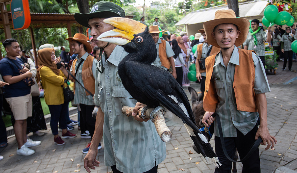 Peserta membawa satwa koleksi Gembira Loka Zoo di Yogyakarta, Minggu (19/11).