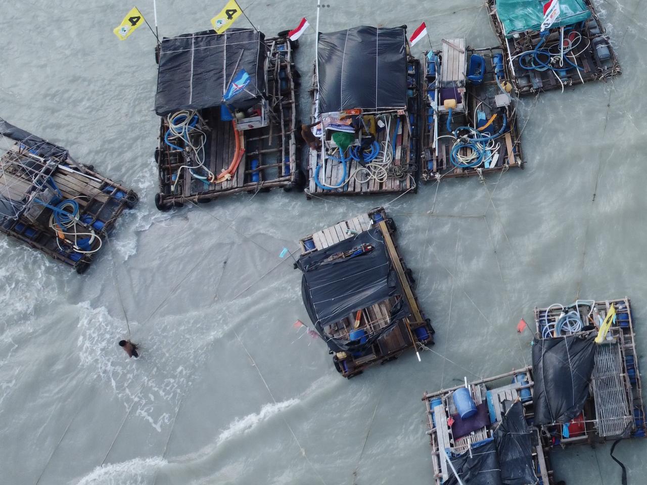 Tambang timah laut ilegal terus menghancurkan pantai
