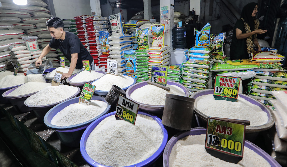 Beras diprediksi akan banyak di pasaran