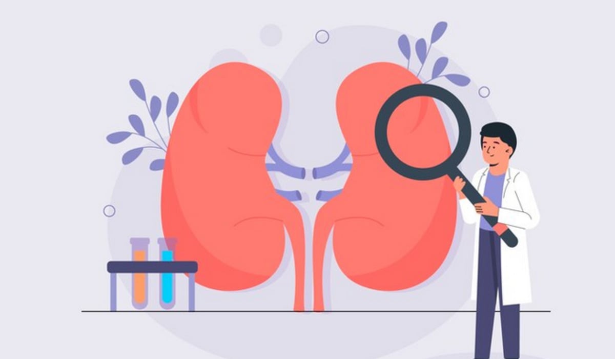 Ilustrasi pemeriksaan atau skrining dini kesehatan ginjal.
