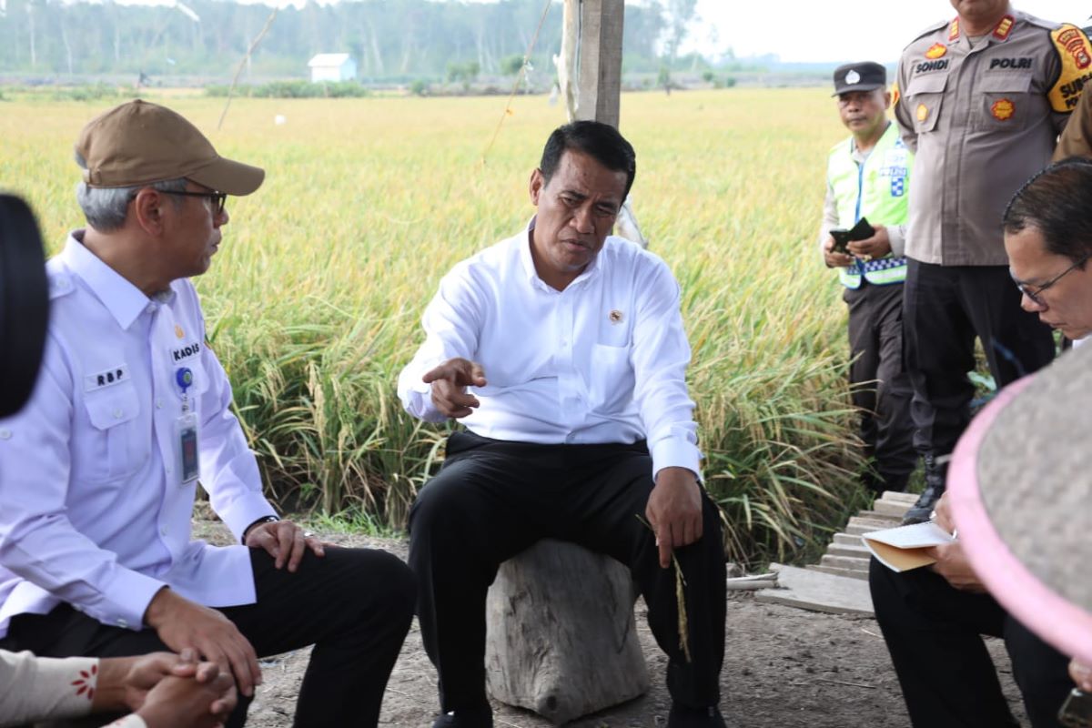 Mentan Amran Sulaiman Klaim Stok Beras untuk Ramadan Aman