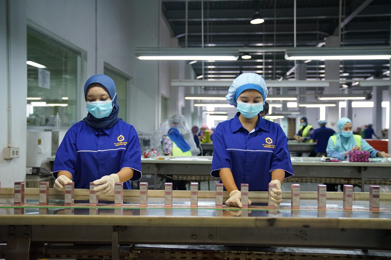 Pekerja PT Victoria Care Indonesia tengah mengemas produk kesehatan.