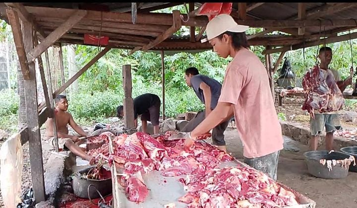 Pedagang memotong daging sapi, di Rumah Hewan Modern, Kelurahan Pohon Bao, Kecamatan Larantuka, Kabupaten Flores Timur. Sabtu (2/3).