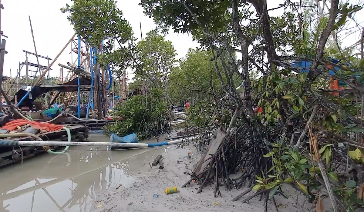 Tambang timah ilegal di Bangka Belitung