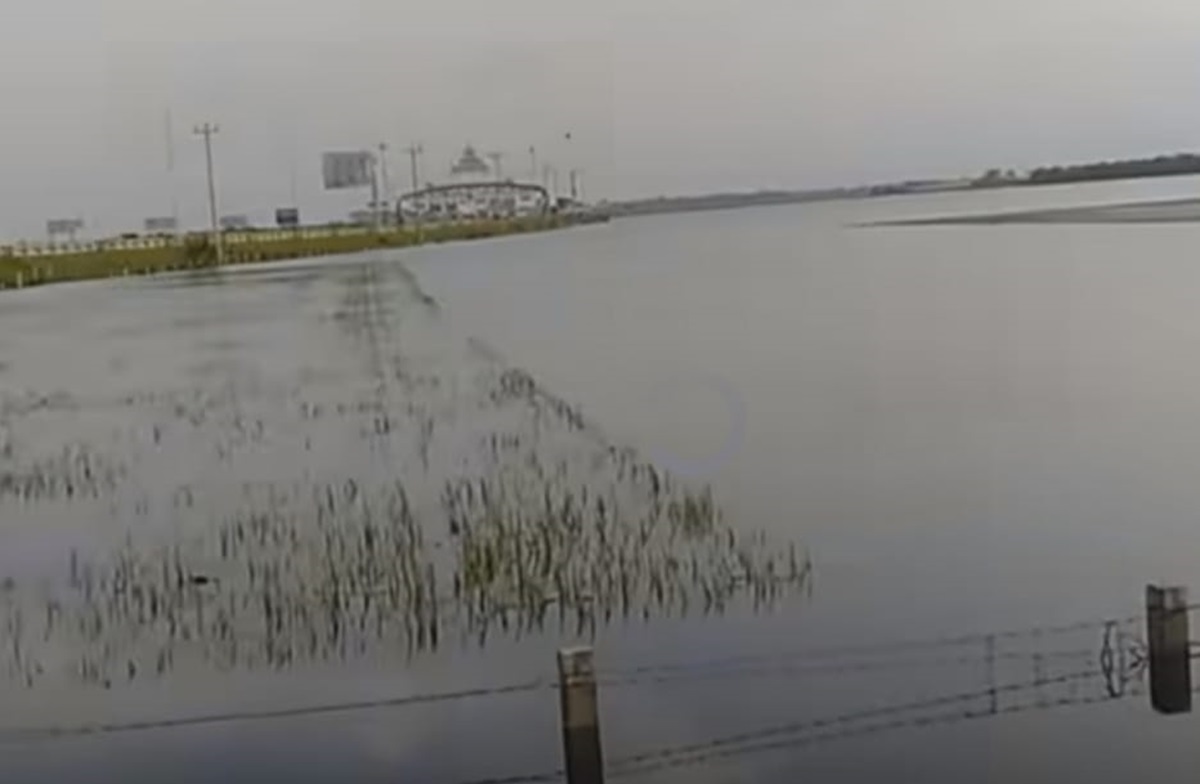 Ancaman gagal panen kembali membayangi petani di kawasan Pantura, Jawa Tengah, yang saat ini mengalami banjir dengan ketinggian 20-100 cm