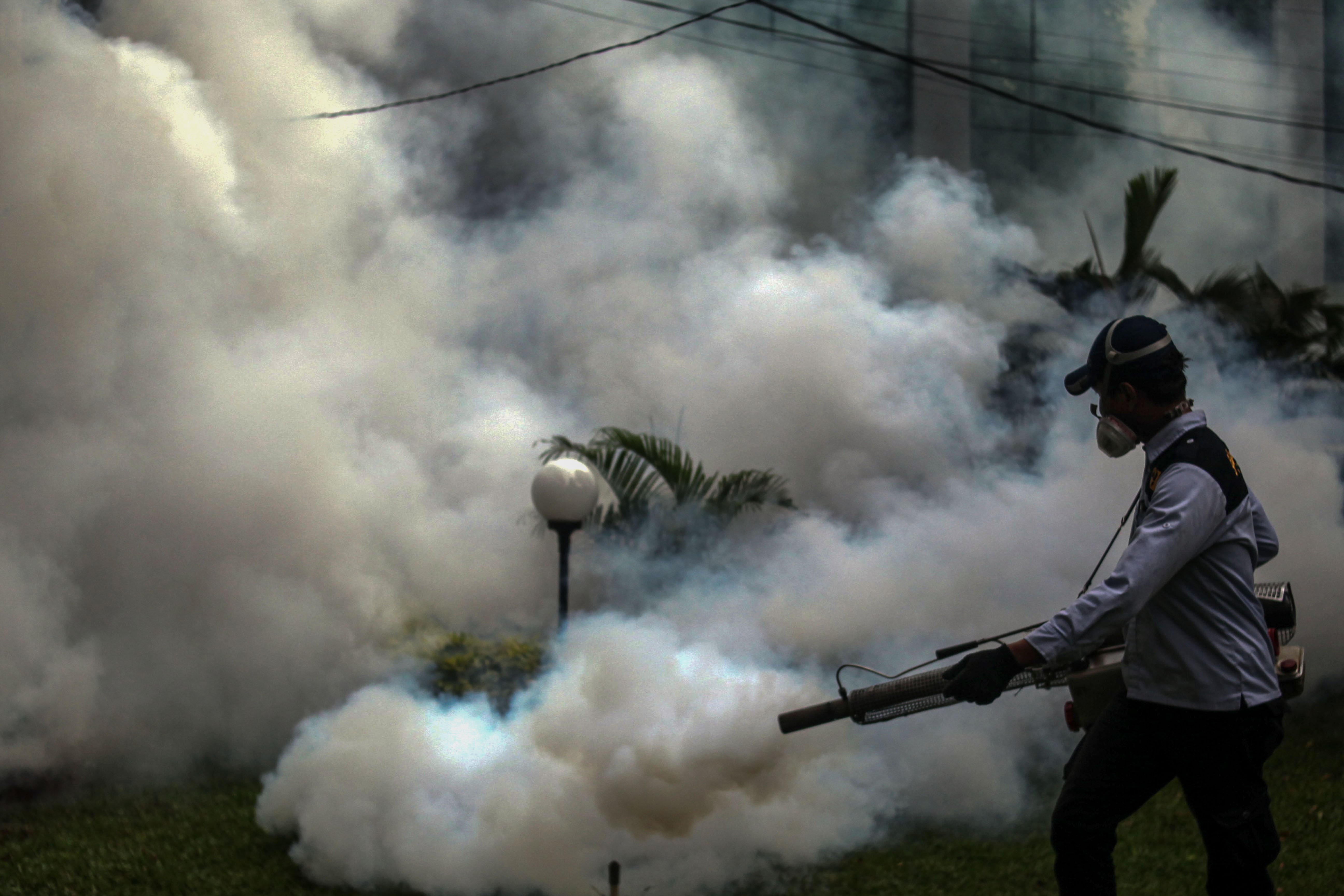 Petugas melakukan pengasapan untuk mencegah meluasnya DBD