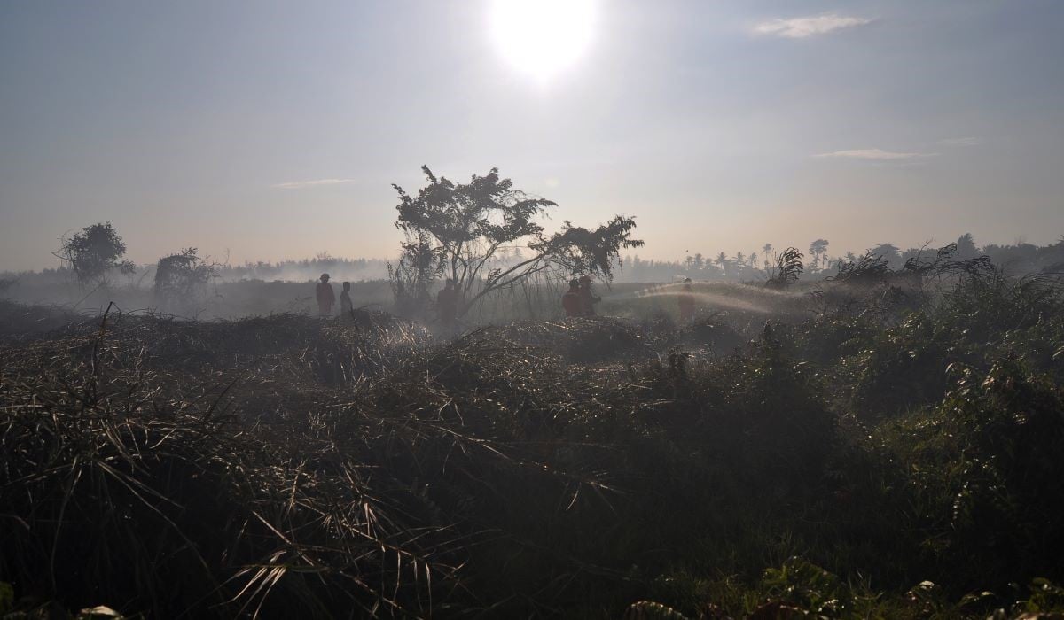 Ilustrasi: petugas pemadam kebakaran Kota Bengkulu berupaya memadamkan api yang membakar lahan gambut