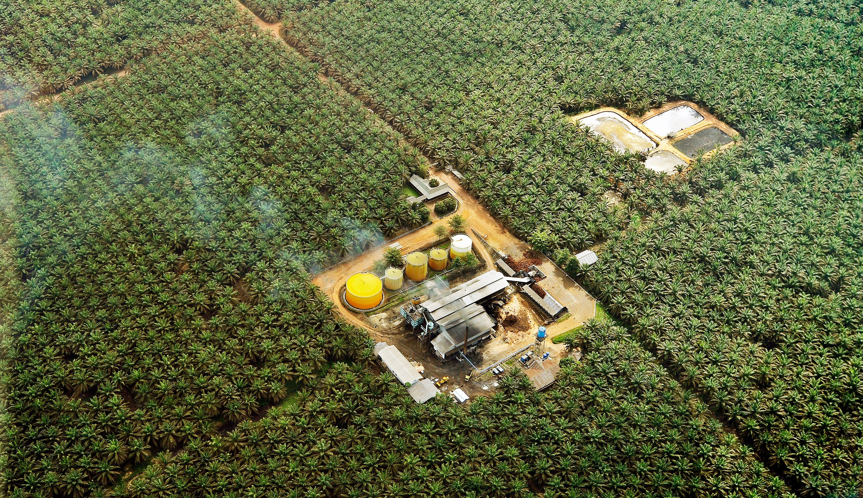 Perkebunan kelapa sawit difoto dari udara di wilayah Kabupaten Kotawaringin Timur, Kalimantan Tengah.