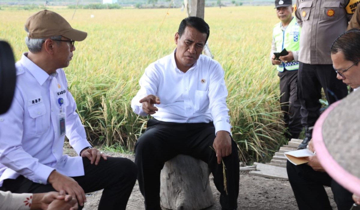 Menteri Pertanian Amran Sulaiman melihat sistem pertanian yang ada di Kabupaten Ogan Ilir, Sumatra Selatan,