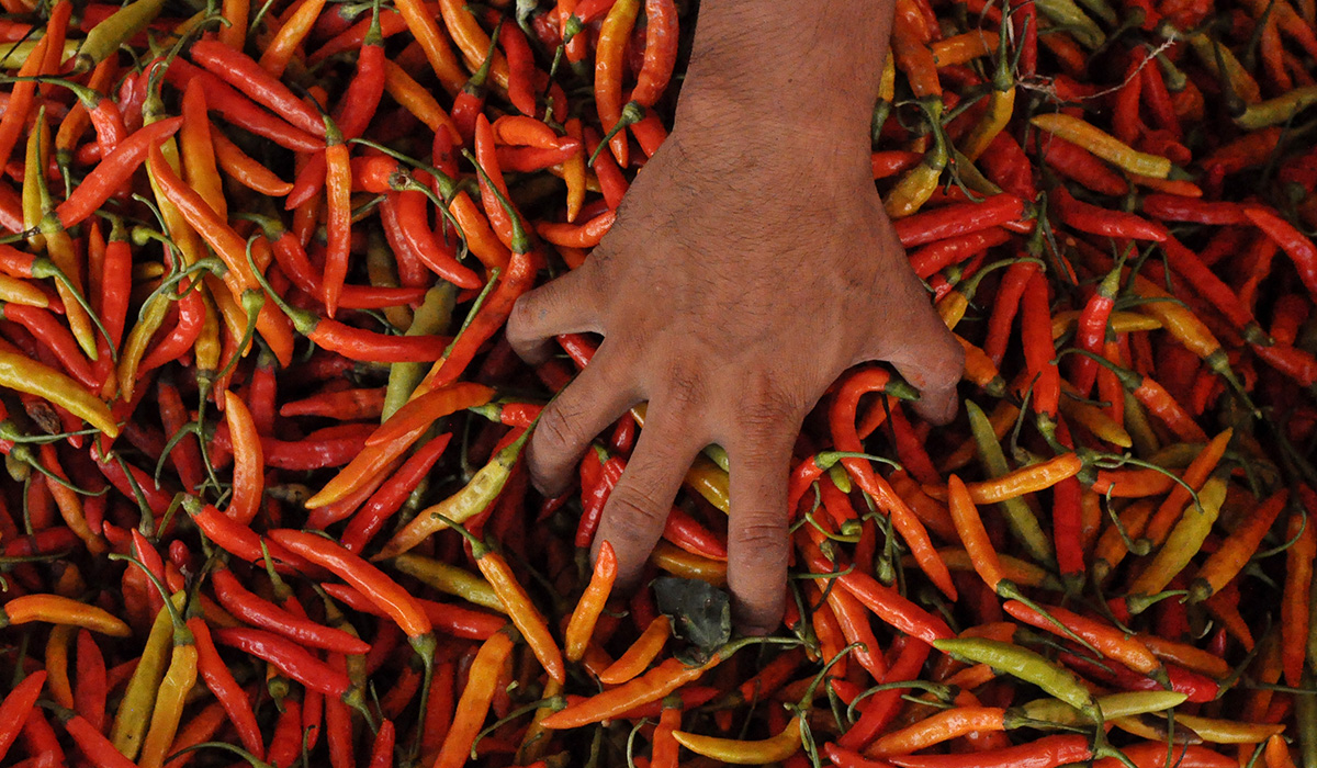 Harga Cabai di Kuningan masih Mahal