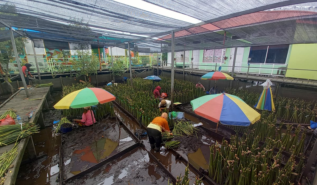 Laksanakan Carbon Project, Pertamina Foundation Raih 4 Penghargaan