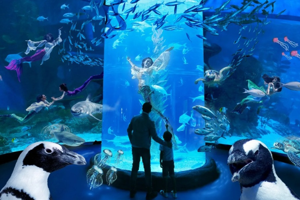 Jakarta Aquarium Safari menjadi salah satu destinasi wisata yang hits di Jakarta karena memiliki banyak spot foto yang instagramable
