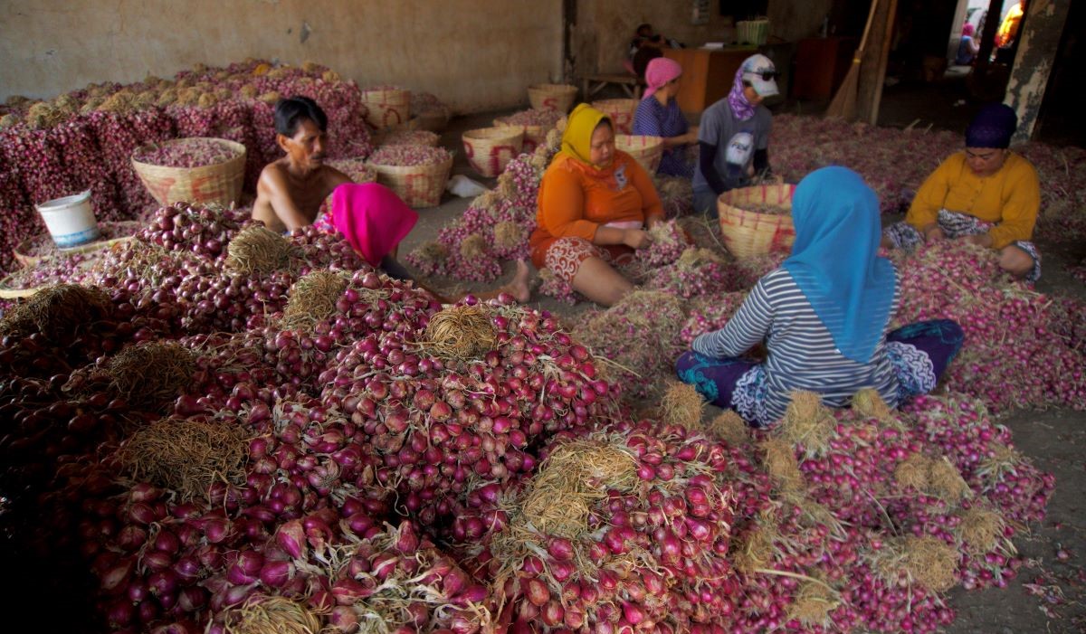 Sejumlah pekerja memilah bawang merah di Pasar Bawang