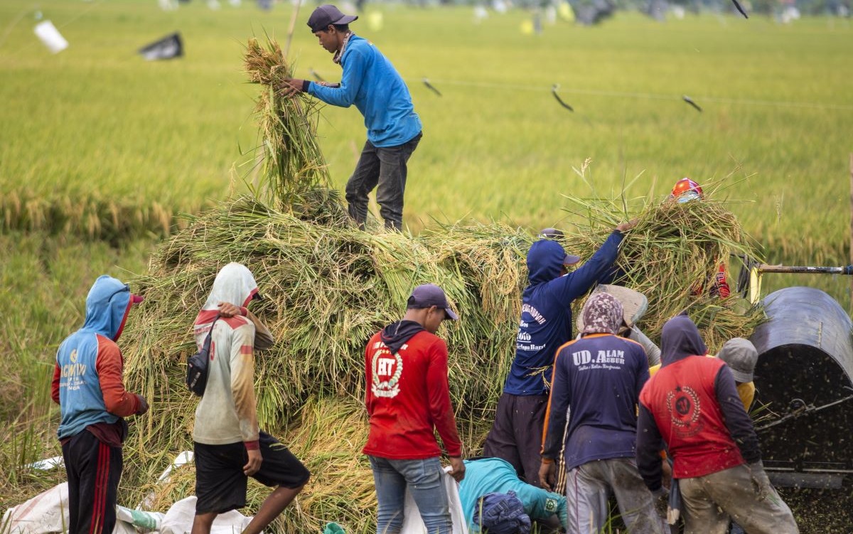 Syngenta dan BPJS Ketenagakerjaan Lindungi 400 Petani Jawa Barat
