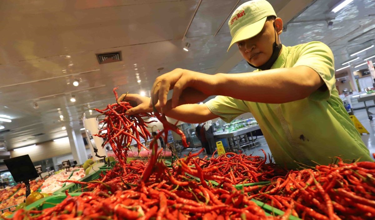 Pramuniaga tengah memilah cabai merah yang dijual secara grosir di pusat perbelanjaan di Jakarta, Jumat (8/9/2023).