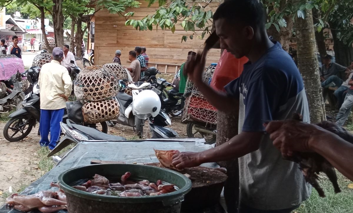Kondisi pasar tradisional ayam kampong (ayam lokal) di Keunire, Kecamatan Pidie, Kabupaten Pidie, Aceh.