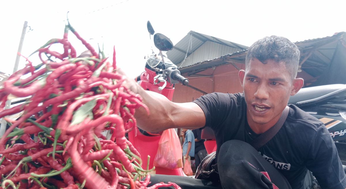 Pedagang cabai merah eceran sedang menggelar dagangannya di pasar Pante Teungoh, Kota Sigli, Ibukota Kabupaten Pidie, Aceh.