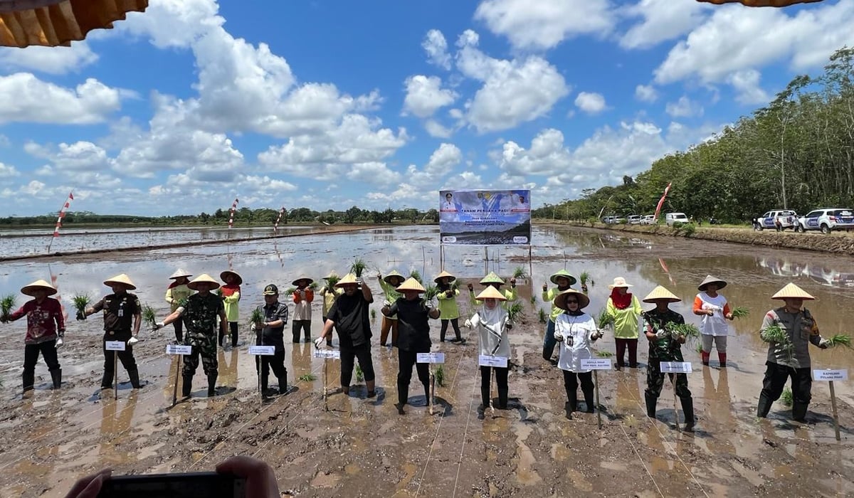 Kementan sigap lakukan akselerasi penanganan darurat pangan dengan beberapa program dan kegiatan, salah satunya Optimasi Lahan (OPLAH)