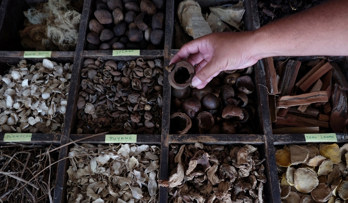 Ilustrasi bahan baku jamu