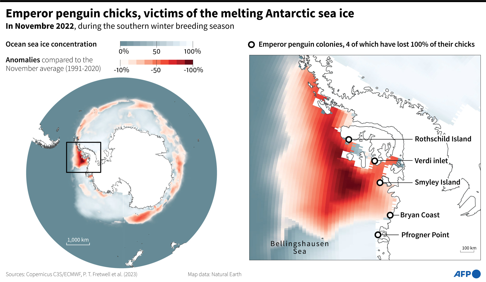 Kawanan Penguin Kaisar Terancam Binasa karena Dampak Perubahan Iklim
