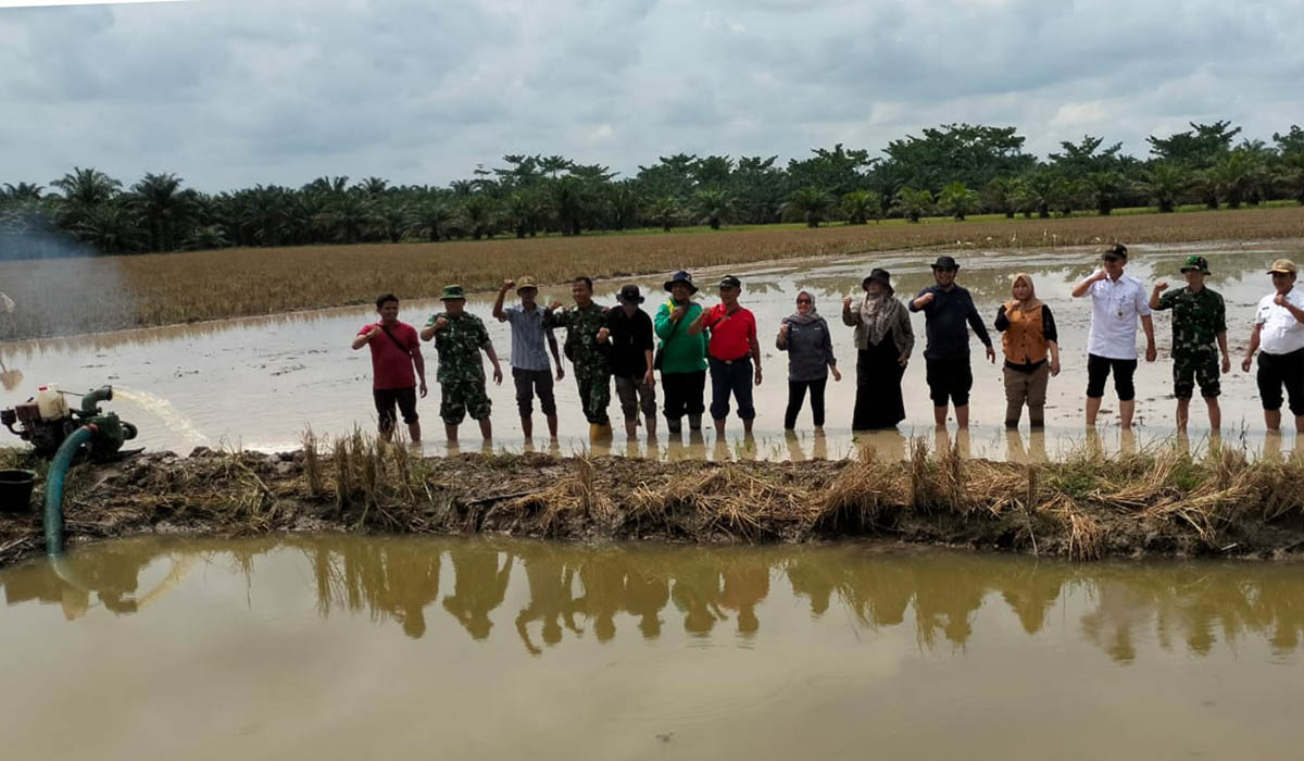 Pompanisasi di Desa Sungai Apung, Kecamatan Kualuh Hilir, Labuhanbatu Utara, Sumatra Utara.