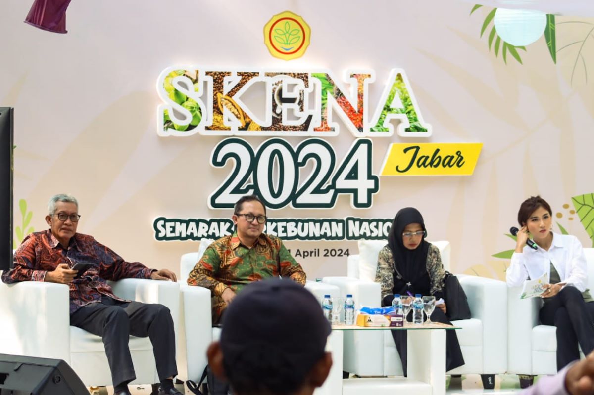 Skena Jadi Ajang Berbagi Wawasan bagi UMKM