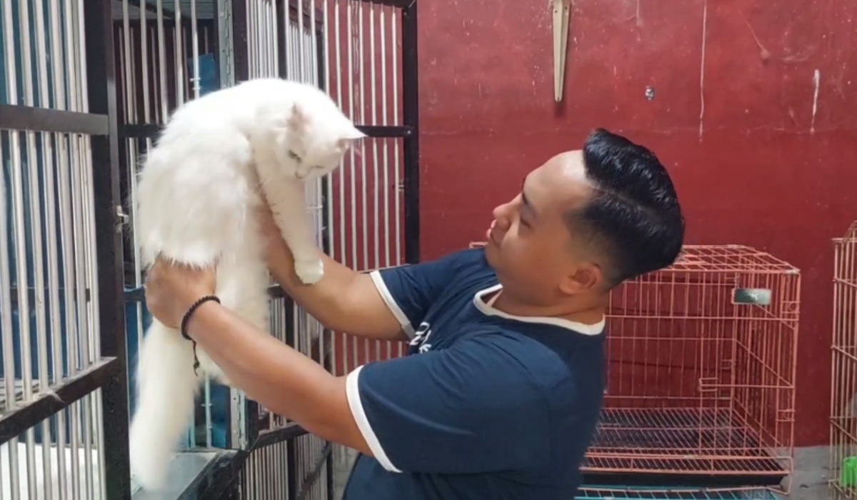 Nasrul Fatah, pemilik rumah penitipan kucing El Fatah Cat, di Probolinggo.