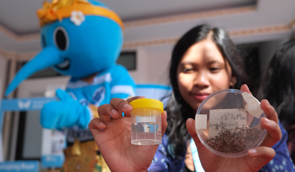 Petugas menunjukkan sampel nyamuk aedes aegypti yang sudah disuntikkan bakteri Wolbachia.