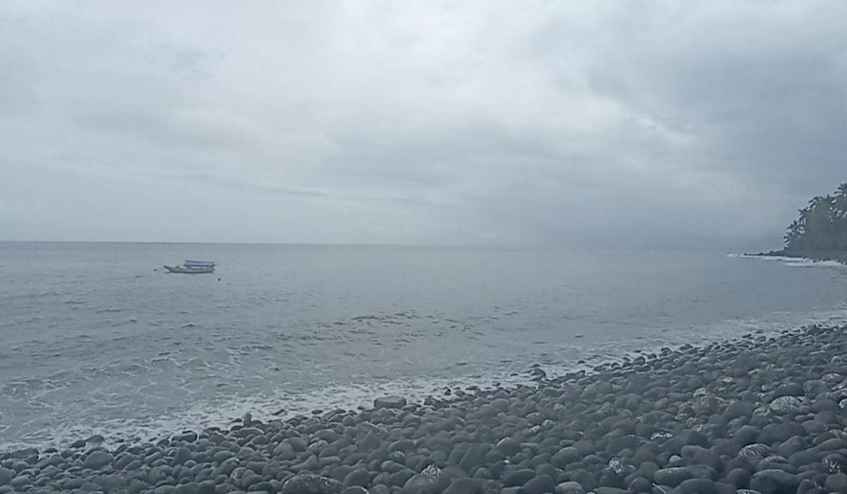 Pesawat diduga jatuh di Perairan Pantai Selatan Nagekeo Flores