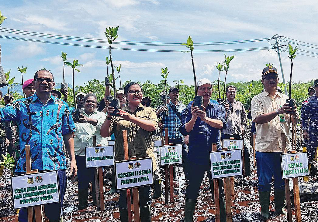 Dirjen PKTL KLHK Hanif Faisol Nurofiq (kedua dari kanan), Asisten II Pemprov Papua dan Kepala BPDAS Mamberamo menanam mangrove.