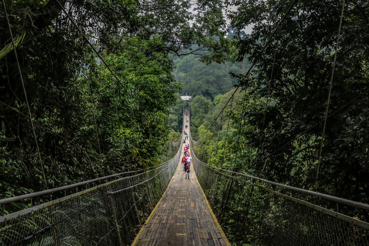 Pengunjung melewati jembatan gantung terpanjang di Asia atau Suspension Bridge Situ Gunung yang berada di kawasan Taman Nasional Gunung Gede