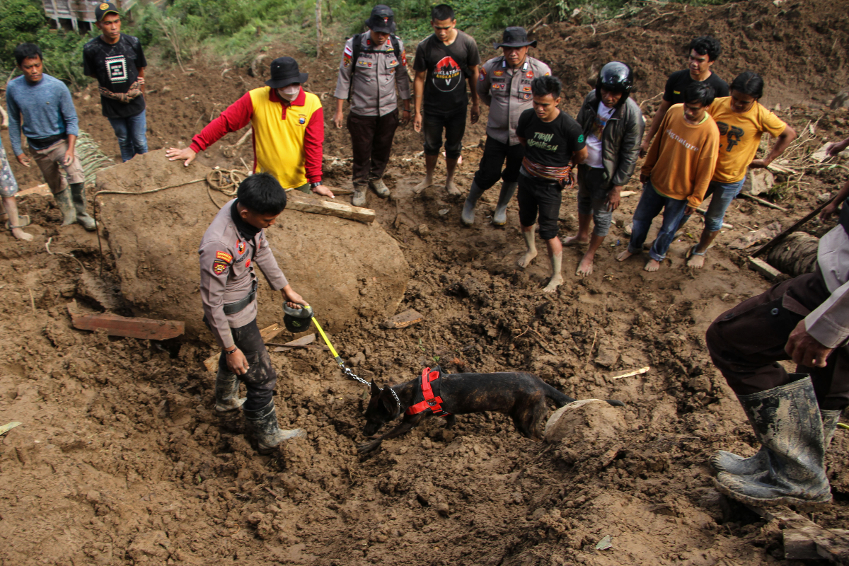 Anggota polisi membawa anjing pelacak saat mencari korban hilang akibat tanah longsor di Palangka, Kelurahan Manggau, Kecamatan Makale, Kabu