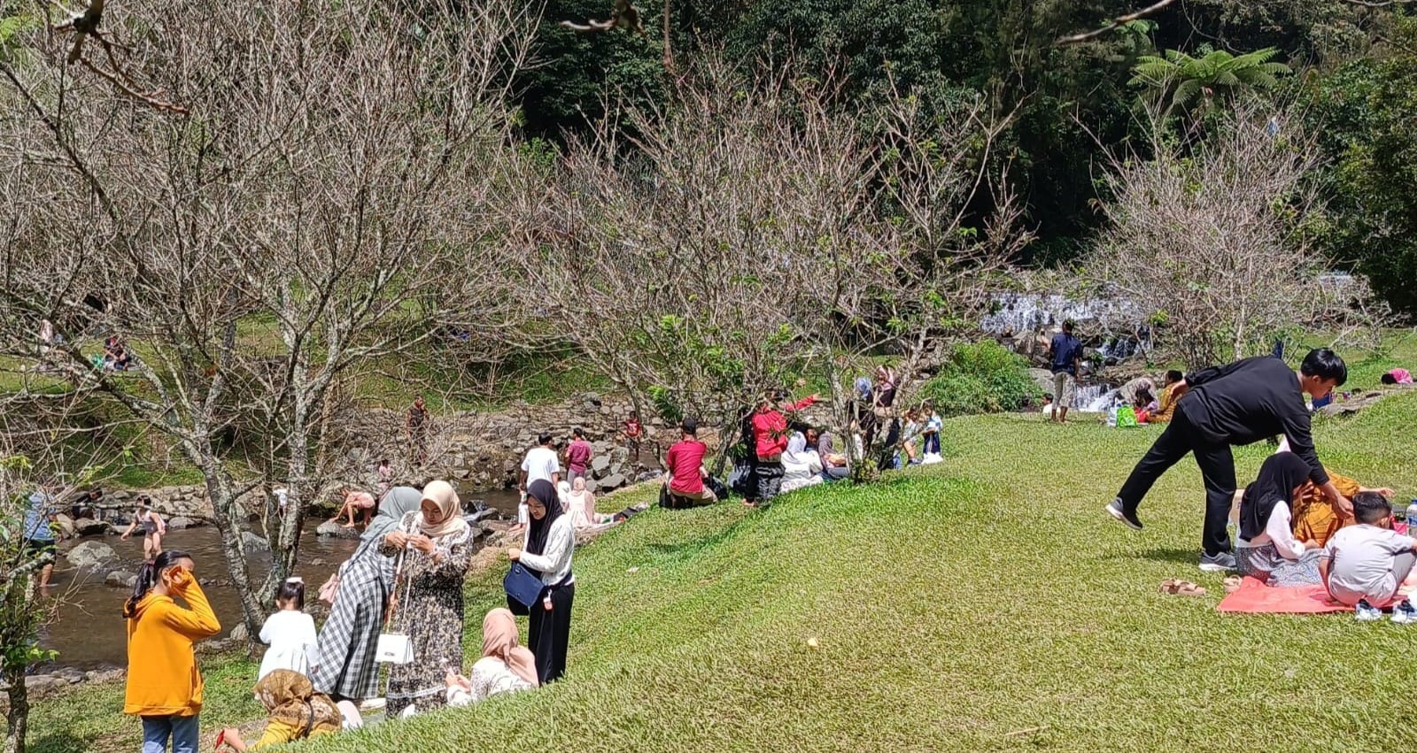 Kebun Raya Cibodas masih Jadi Objek Wisata Favorit di Wilayah Utara Cianjur