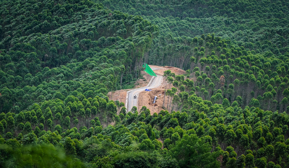 Presiden terpilih akan dilantik di IKN