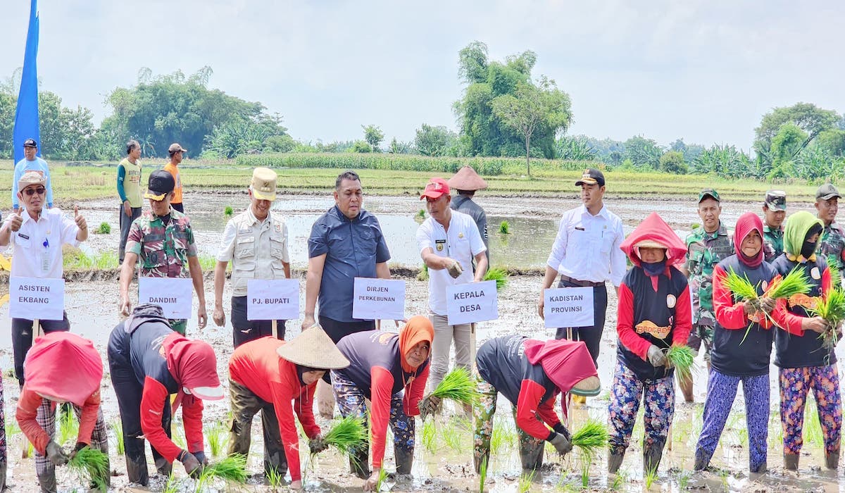 Kementan dorong pompanisasi di Nganjuk