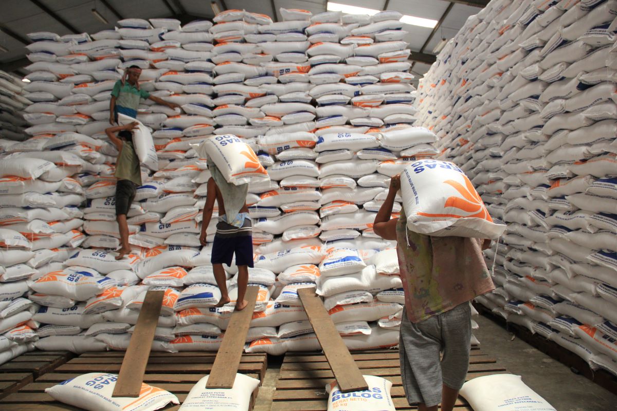 Para pekerja mengangkut beras di Gudang Bulog.