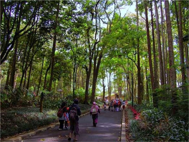 Taman Hutan Rakyat Ir. H. Djuanda Bandung
