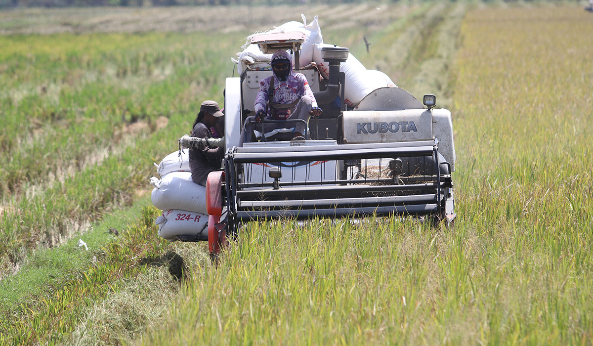 Mentan: Tanpa Pangan, Negara Bisa Hancur