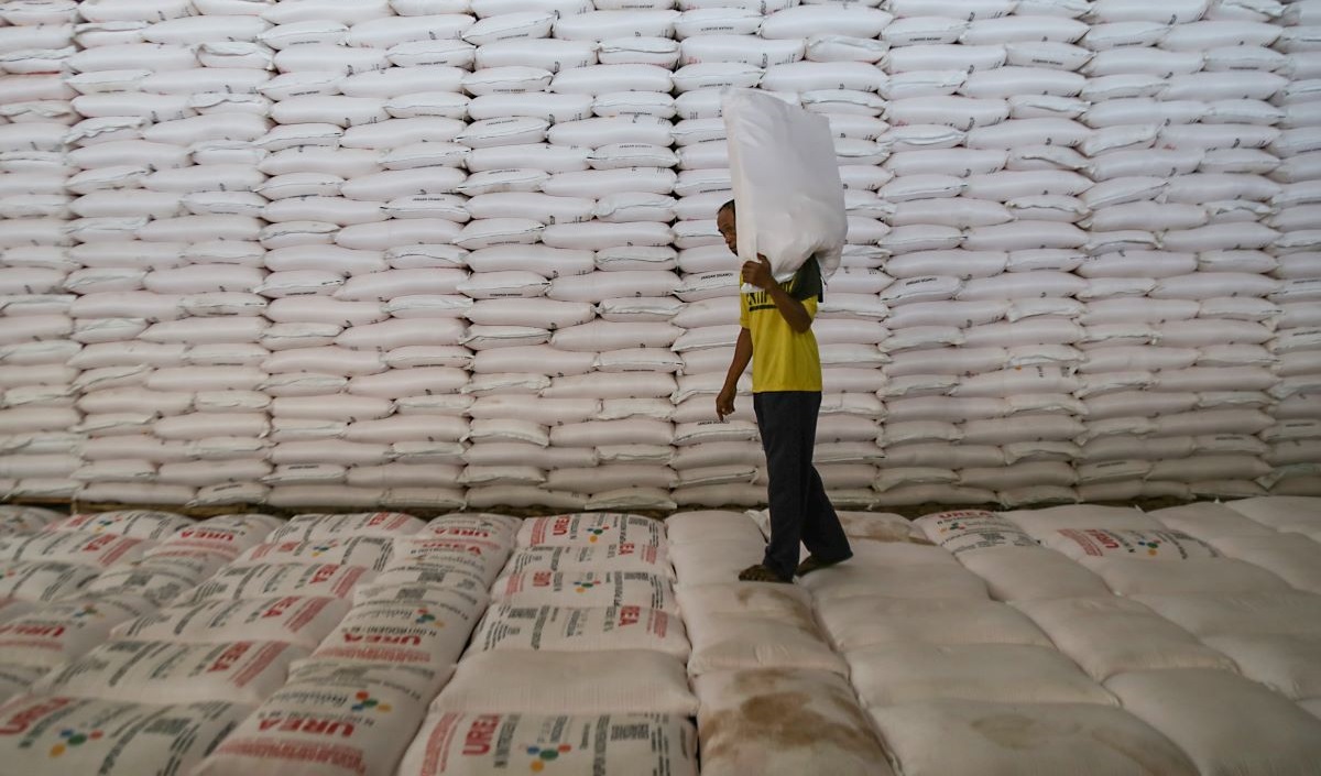 Seorang pekerja mengangkut karung pupuk urea.