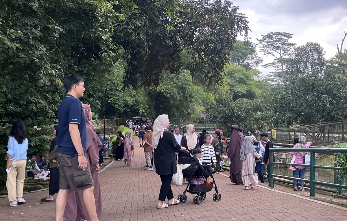 Siang ini jumlah pengunjung Taman Margasatwa Ragunan terus meningkat dan tercatat hingga pukul 11.00 WIB mencapai 31.298 orang.