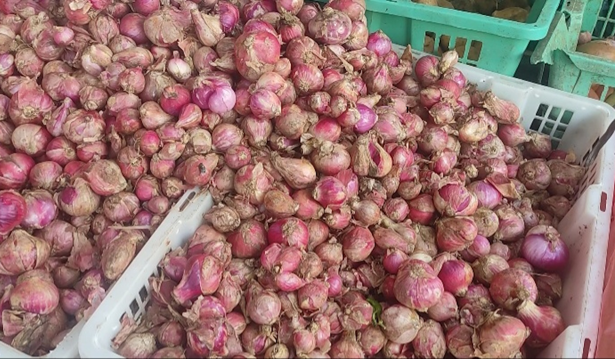 Bawang merah