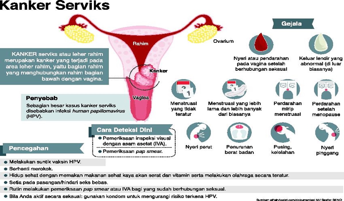 Grafis kanker serviks