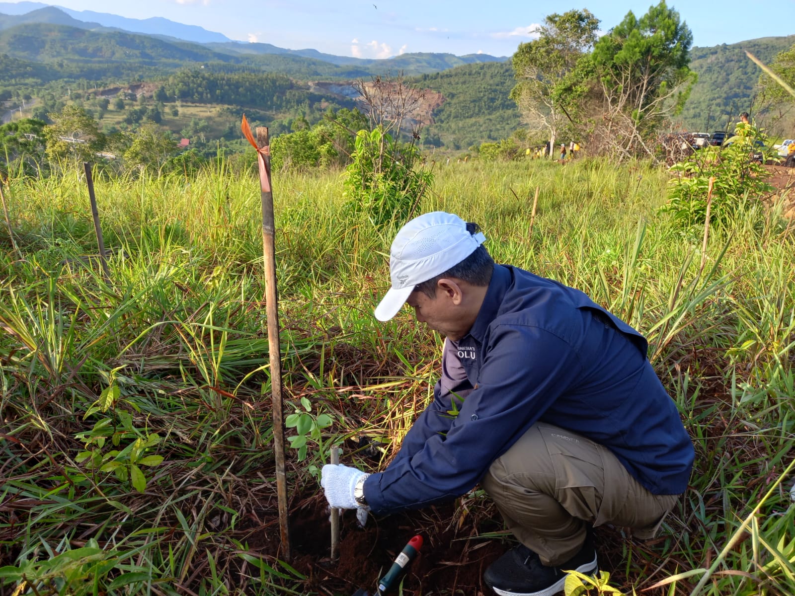 Penanaman pohon di daerah aliran sungai
