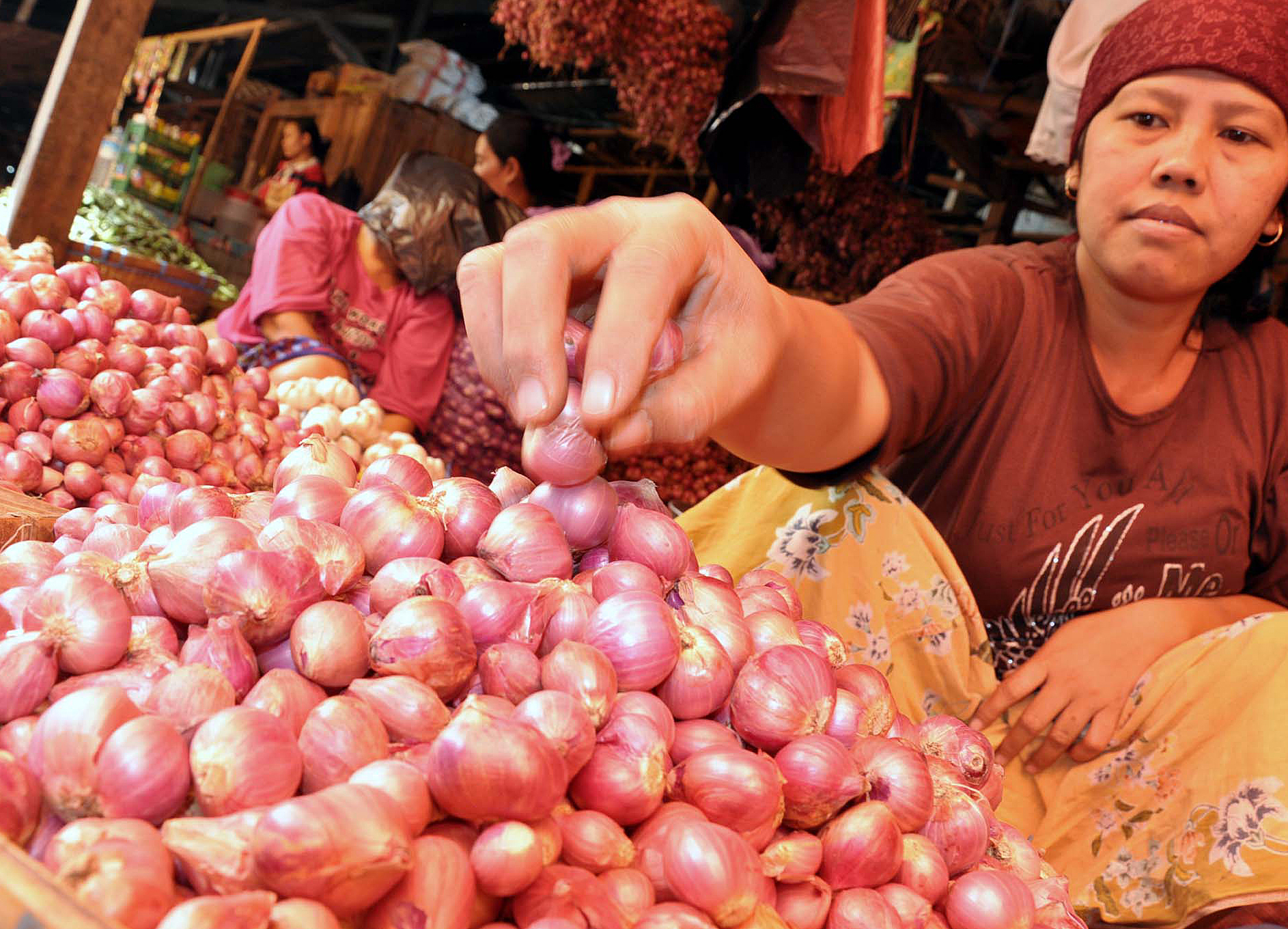 Banjir di Sentra Produksi, Harga Bawang Merah di Cirebon Melonjak