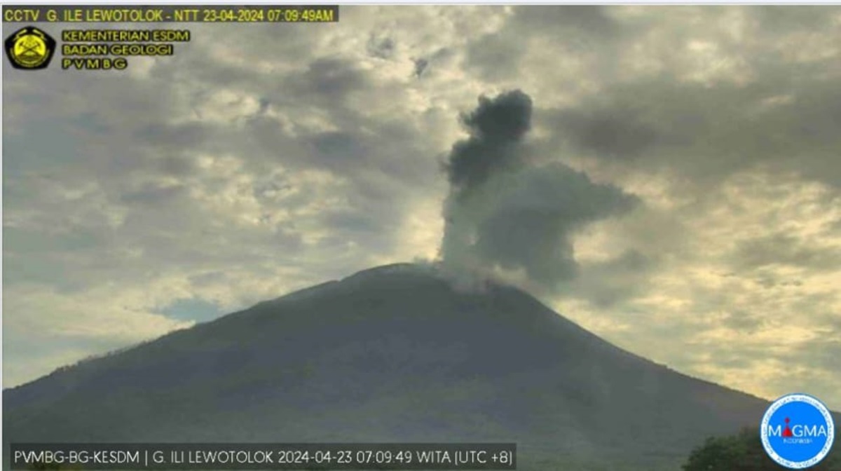 Sebanyak 21 desa di kaki gunung Ile Lewotolok terdampak erupsi. Namun BPBD belum ada rencana evakuasi dan menunggu rekomendasi PVMBG.