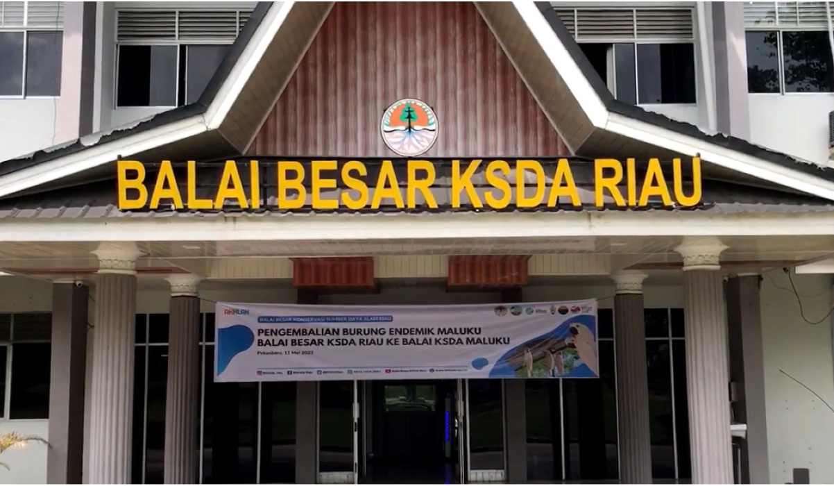 Kantor BBKSDA Riau.