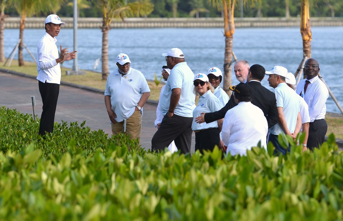 Moment WWF, Suriname Belajar Rehabilitasi Mangrove dari Indonesia