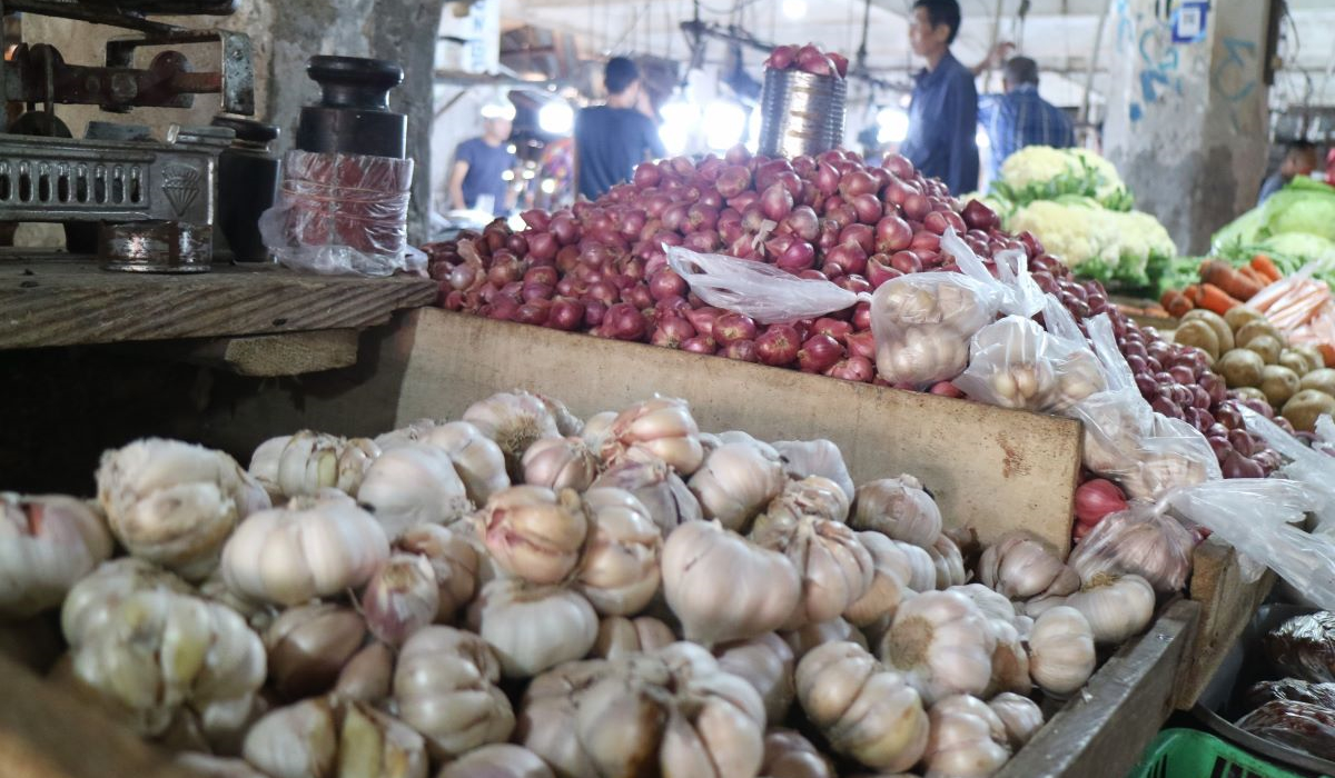 Ilustrasi bawang putih 