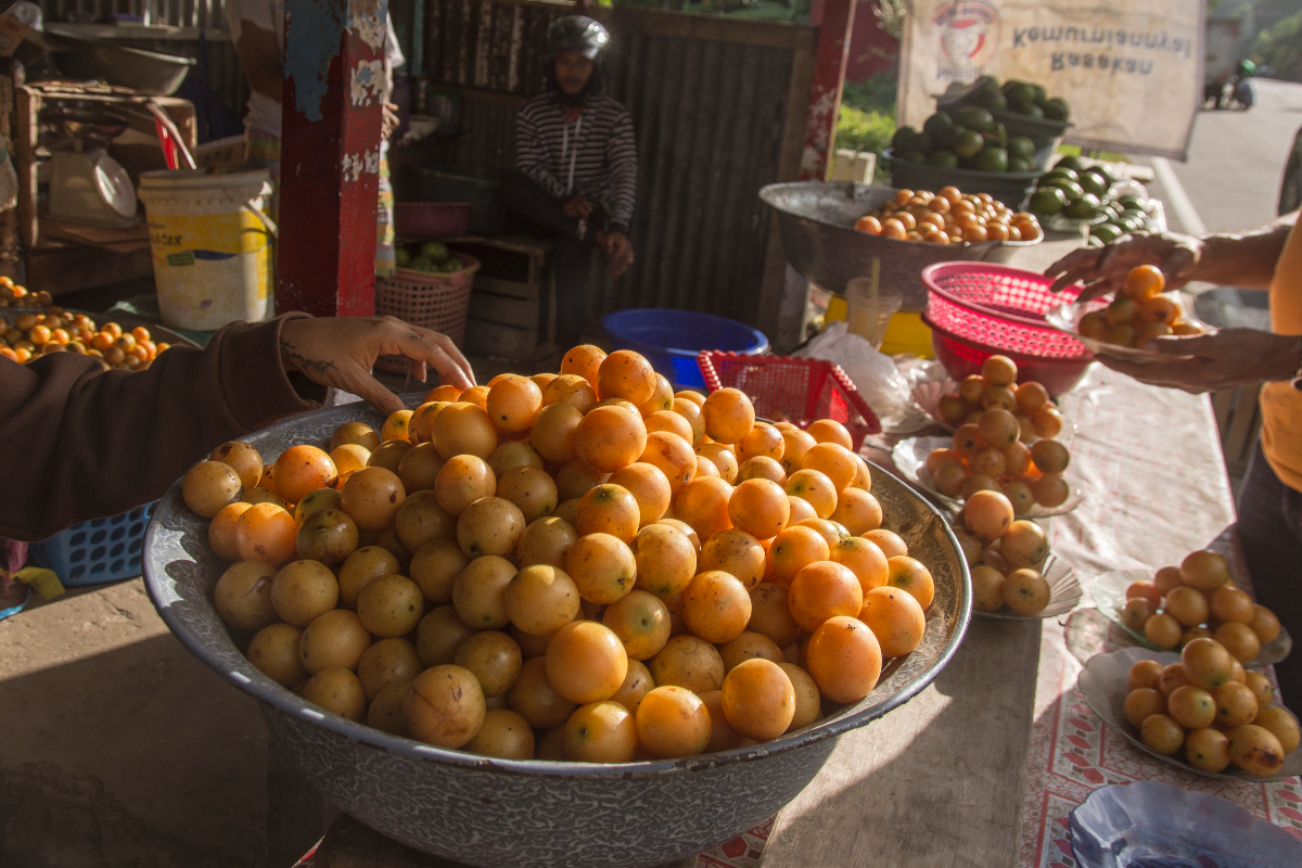5 Manfaat Buah Gandaria untuk Kesehatan Tubuh